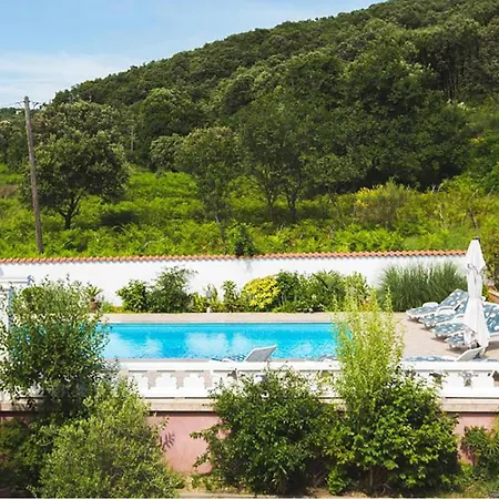 Amazing In With Sauna Daire *